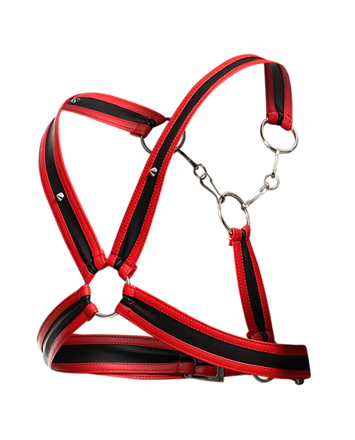 Dngeon Cross Chain Harness By Mob Red