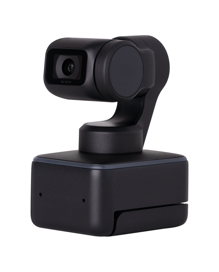 Webcam Controlada por APP Global by Lovense