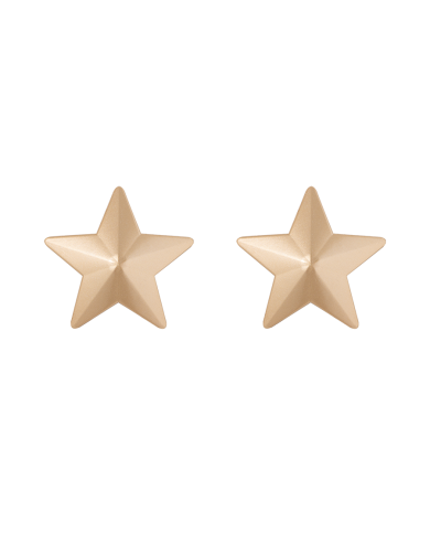 Cubrepezones Estrella Dorada