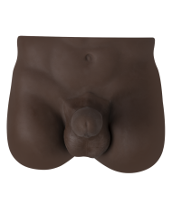 Torso Men Medio Rt Brown