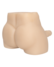 Torso Medium Curve Men Flesh
