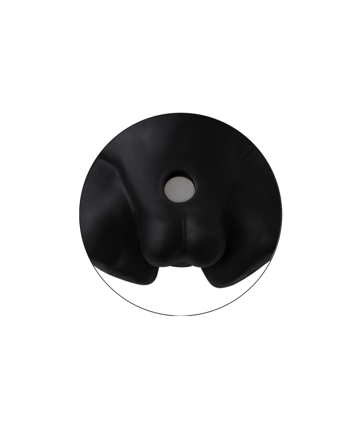 Premiun Silicone Realistic Male Torso de Dildo Intercambiable