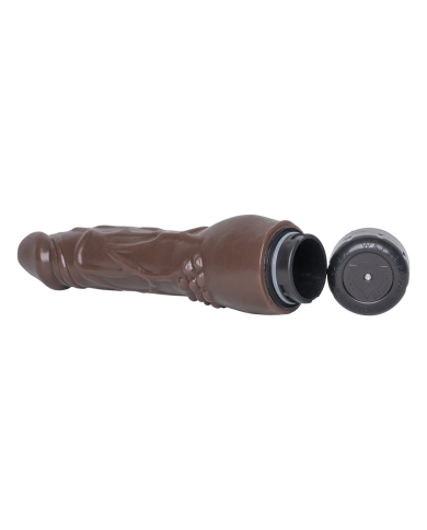 Vibrador Clásico Naughty Cock