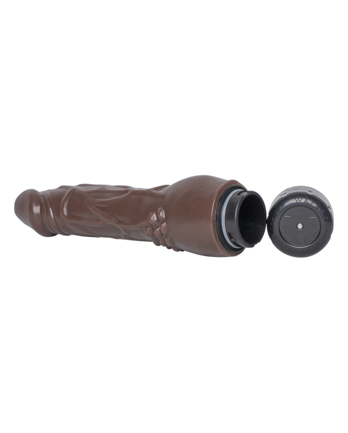 Vibrador Clásico Naughty Cock