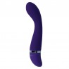 INTENSE - LEO VIBRADOR LILA SILICON LUXE