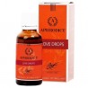 RUF - GUARANA ESTIMULANTE AFRODISIACO EXOTICO 100ML