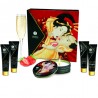 SHUNGA - KIT SECRET GEISHA TE VERDE ORGANICO