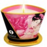 SHUNGA - MINI CARESS BY CANDELIGHT VELA MASAJE VAINILLA 170 ML