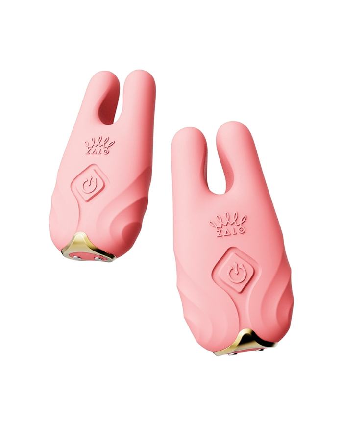 Pinzas Para Pezones y Clitoris de Lujo Nave Coral Pink Controlado por APP Global by ZALO Pinzas Para Pezones y Clitoris de Lujo Nave Coral Pink Controlado por APP Global by ZALO