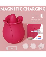 Estimulador Rose Pro 4