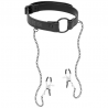 FETISH SUBMISSIVE - COLLAR CON CADENA CON FORRO DE NOPRENO