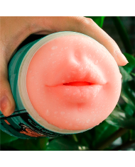 Pleasure Brew Masturbator-Cream Ale