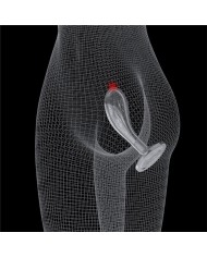 Estimulador De Próstata Flawless Plug 6.0'' Estimulador De Próstata Flawless Plug 6.0''