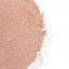 SECRETPLAY - GOLDEN LIGHT KIT POLVOS COMESTIBLES Y PLUMA FRESAS & CAVA