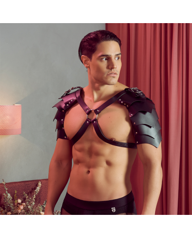 Arnés Gladiador