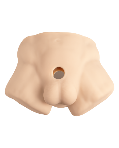 Premium Silicone Realistic Medio Torso de Dildo Intercambiable Caramel