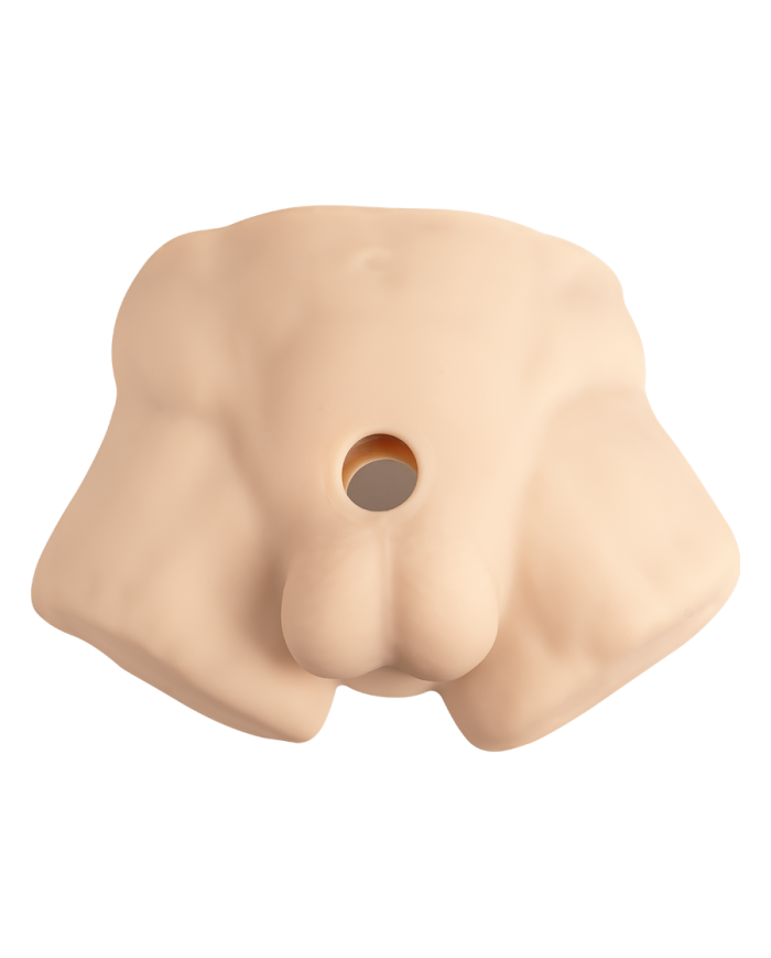 Premium Silicone Realistic Medio Torso de Dildo Intercambiable Caramel