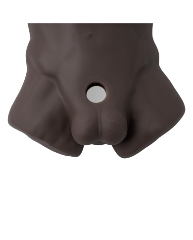 Premiun Silicone Realistic Male Torso de Dildo Intercambiable
