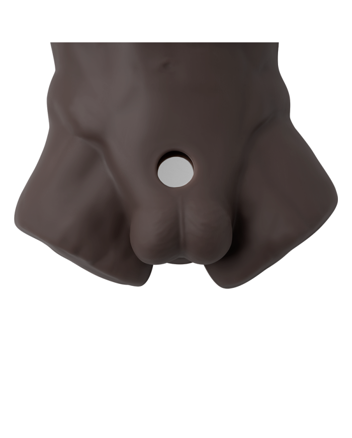 Premiun Silicone Realistic Male Torso de Dildo Intercambiable