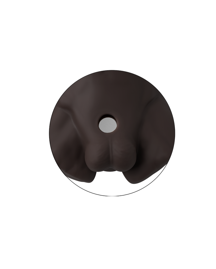 Premiun Silicone Realistic Male Torso de Dildo Intercambiable