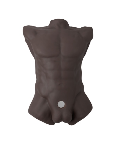 Premiun Silicone Realistic Male Torso de Dildo Intercambiable