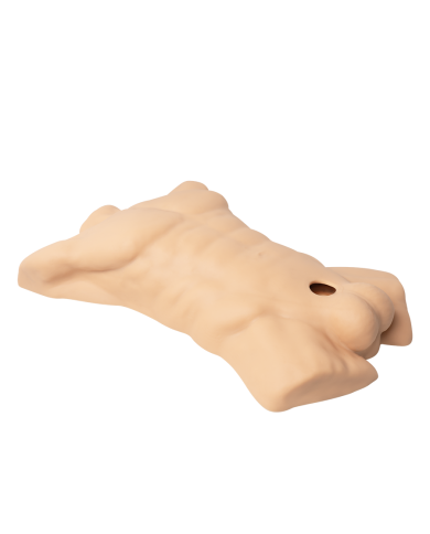 Premiun Silicone Realistic Male Torso de Dildo Intercambiable