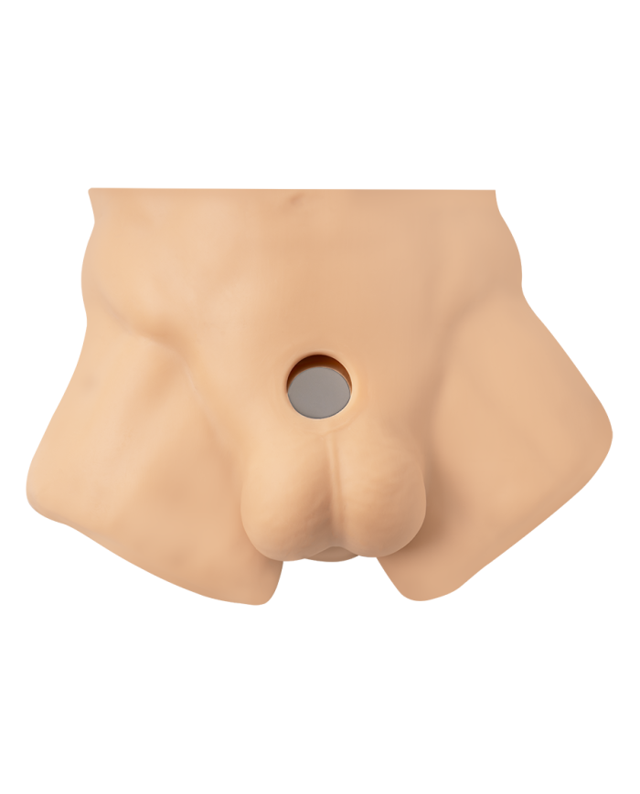 Premiun Silicone Realistic Male Torso de Dildo Intercambiable