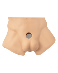 Premiun Silicone Realistic Male Torso de Dildo Intercambiable