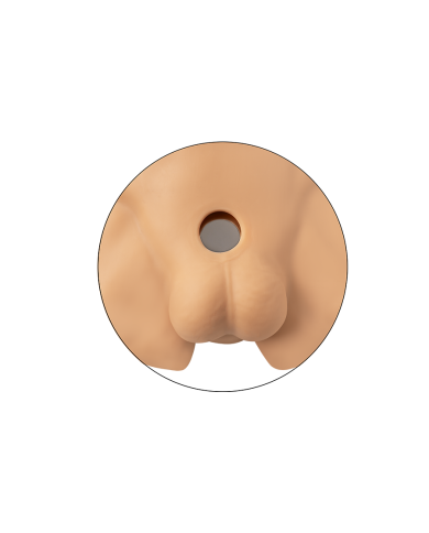 Premiun Silicone Realistic Male Torso de Dildo Intercambiable