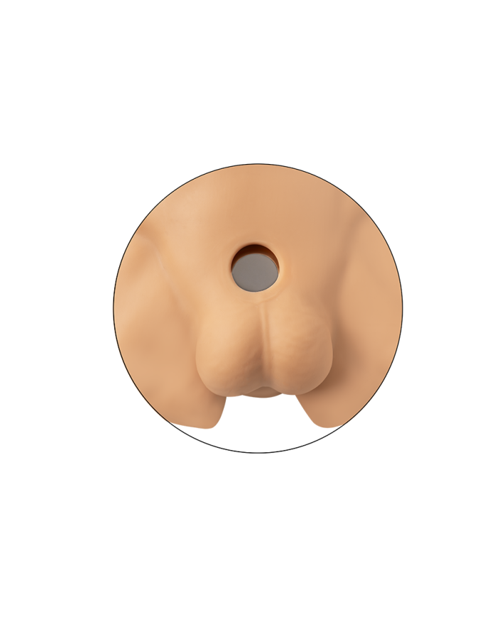 Premiun Silicone Realistic Male Torso de Dildo Intercambiable