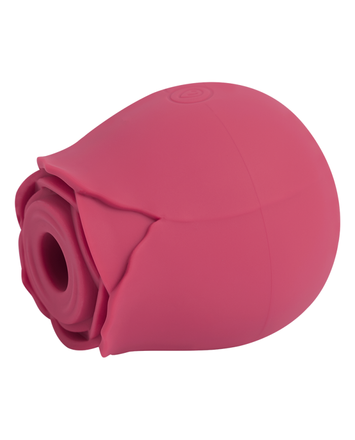 Rose Sucking Simulator