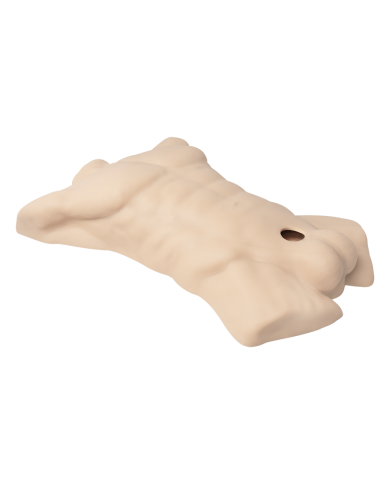 Premiun Silicone Realistic Male Torso de Dildo Intercambiable