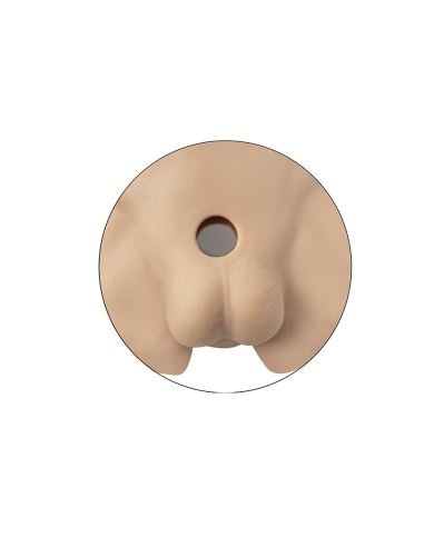 Premiun Silicone Realistic Male Torso de Dildo Intercambiable