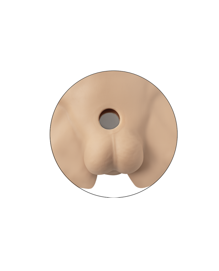 Premiun Silicone Realistic Male Torso de Dildo Intercambiable