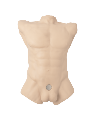 Premiun Silicone Realistic Male Torso de Dildo Intercambiable