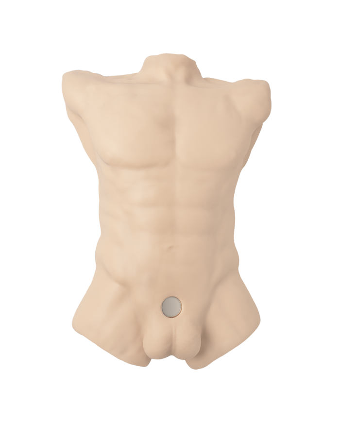 Premiun Silicone Realistic Male Torso de Dildo Intercambiable