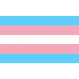 PRIDE - BANDERA 90 X 150 TRANSEXUAL